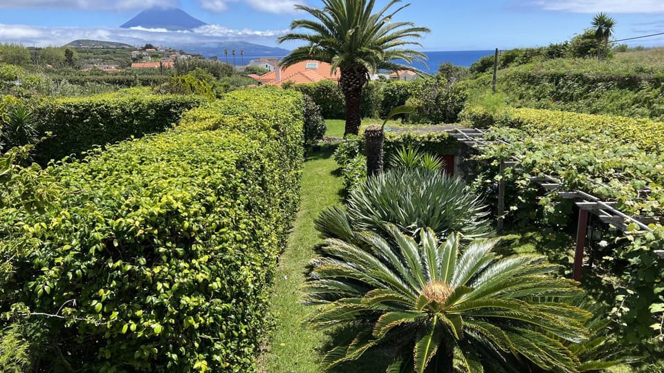Natural landscape, Garden, Garden view