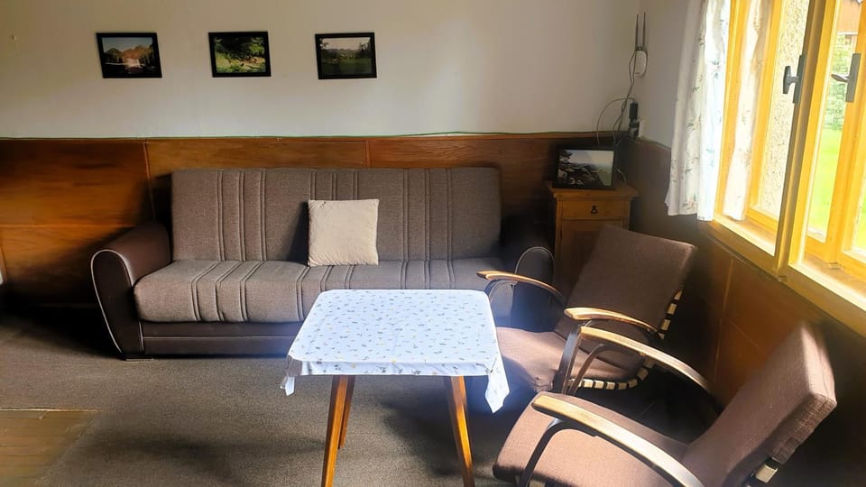 Communal lounge/ TV room, Living room
