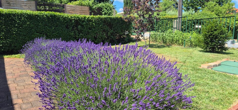 Property building, Garden