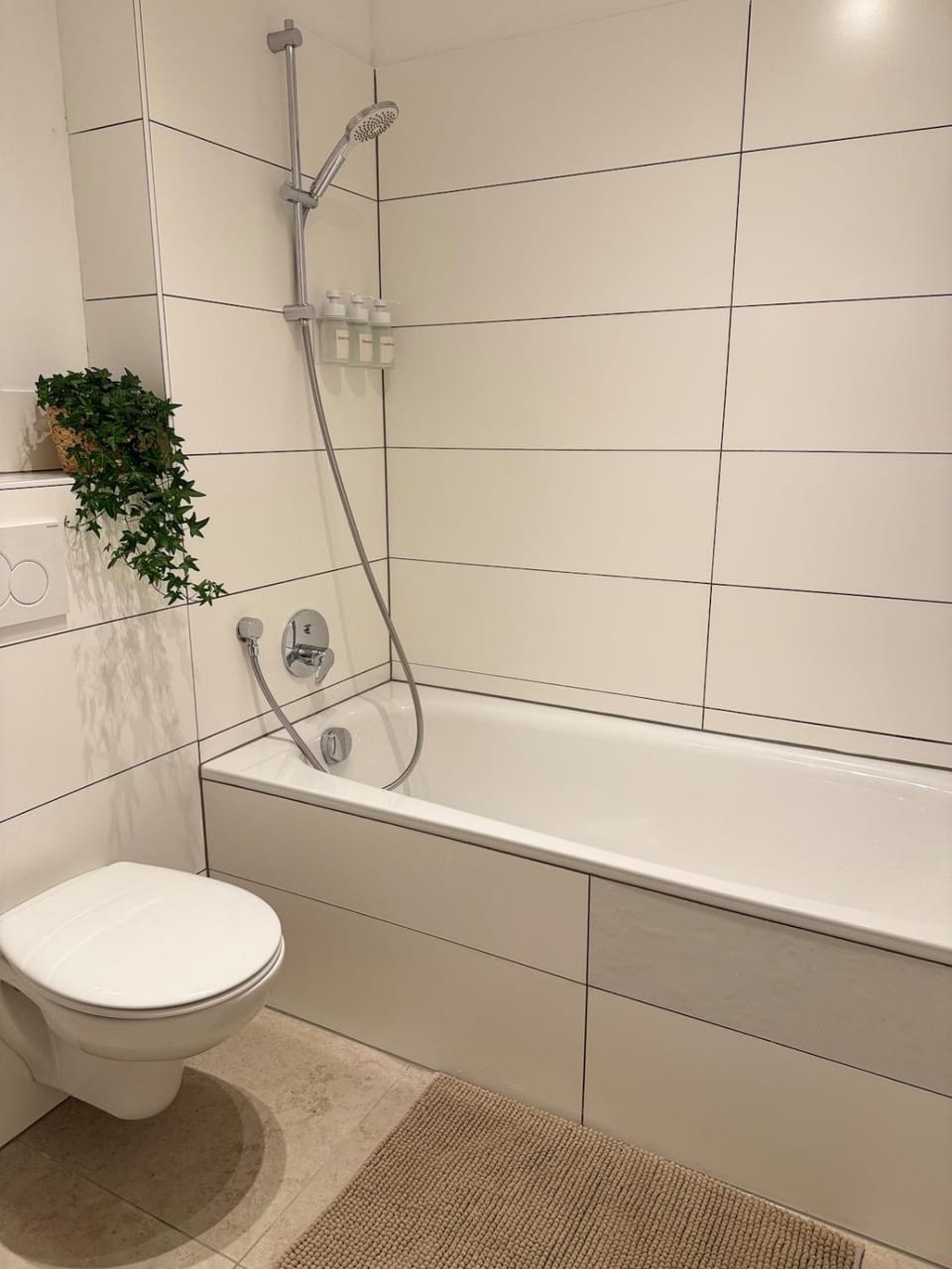 Shower, Toilet, Bathroom, Bath