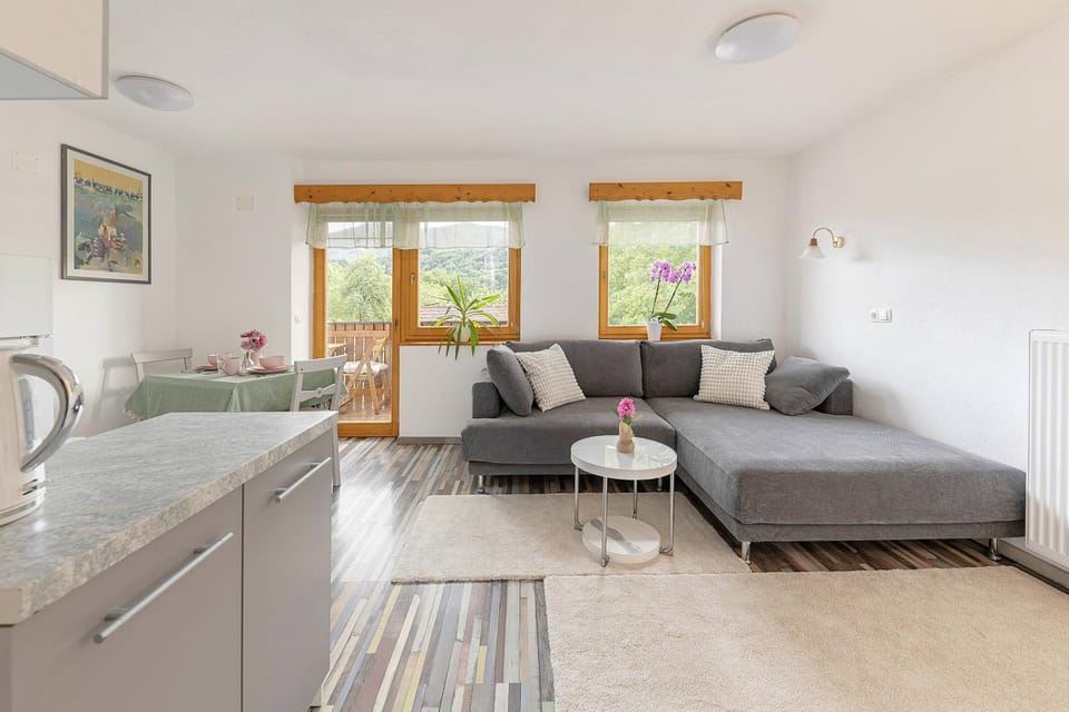 View (from property/room), Kitchen or kitchenette, Living room, Photo of the whole room, Decorative detail, Seating area