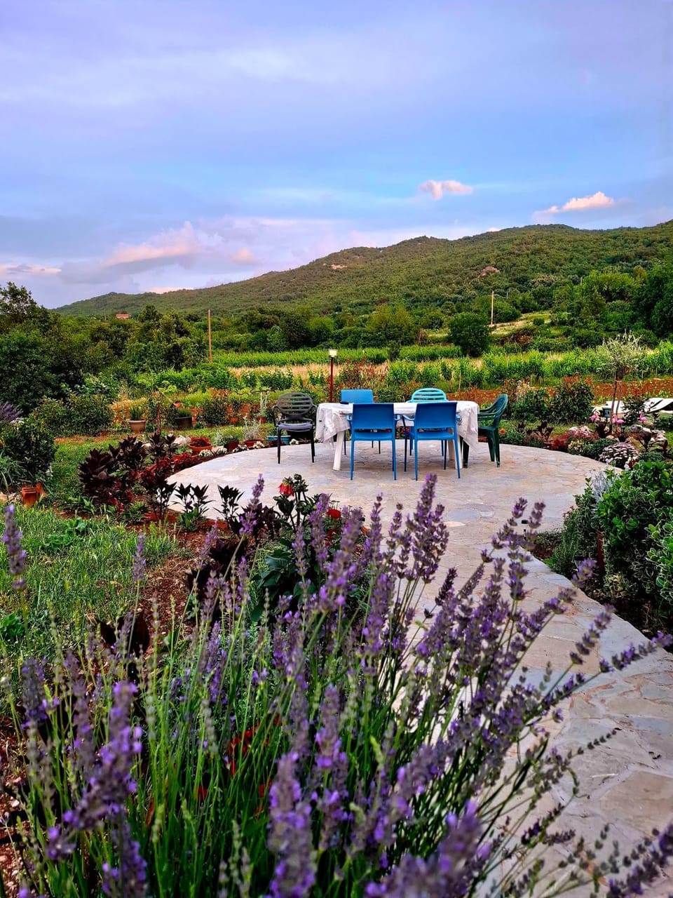 Garden view