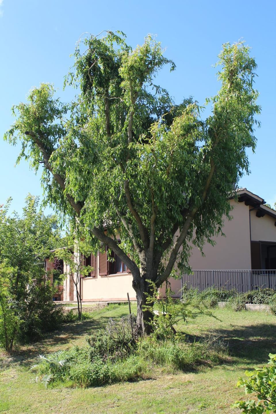 Villa Umbria Il Salice Villa in Umbria