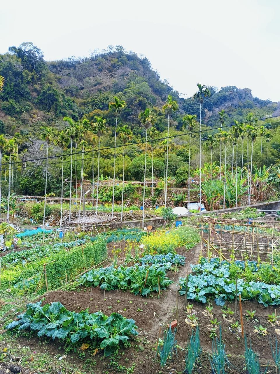 暖暖窩 和木房 Nature lodge in Taiwan, Province of China