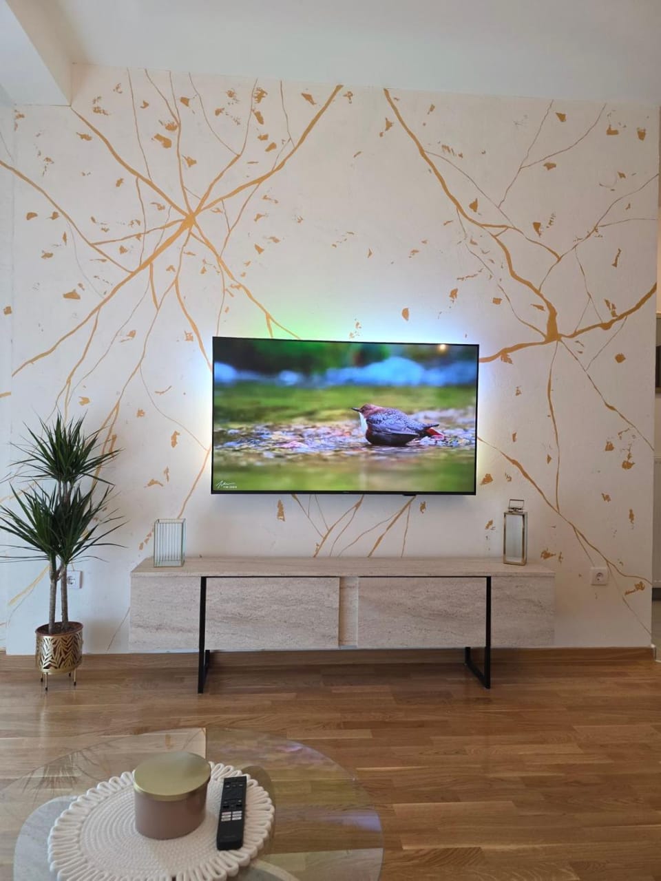 TV and multimedia
