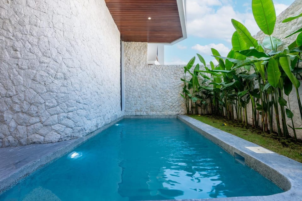 Day, Pool view, Swimming pool