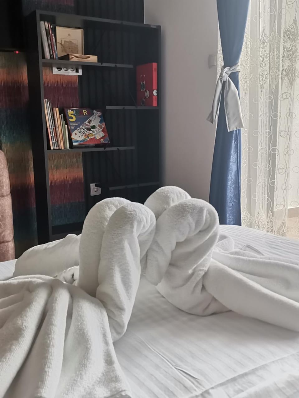 Apartman Bela Zora Apartment in Serbia