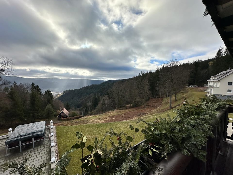 Natural landscape