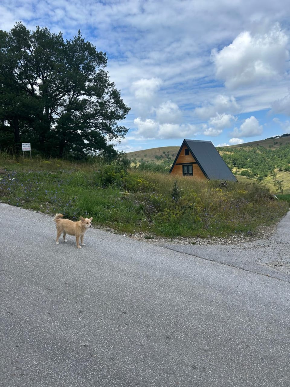 Stress Away Villa in Zlatibor