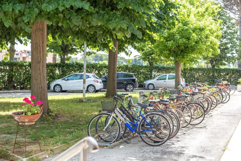 Facade/entrance, Spring, Day, People, Cycling, group of guests, Parking