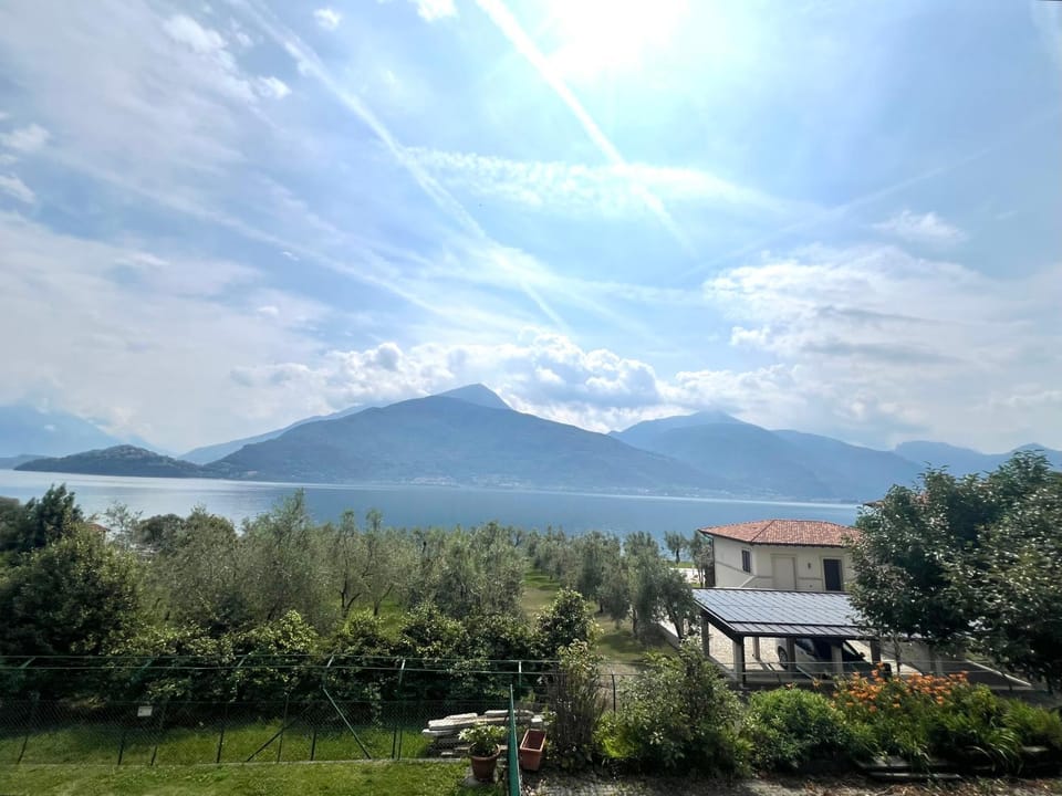 Lake view