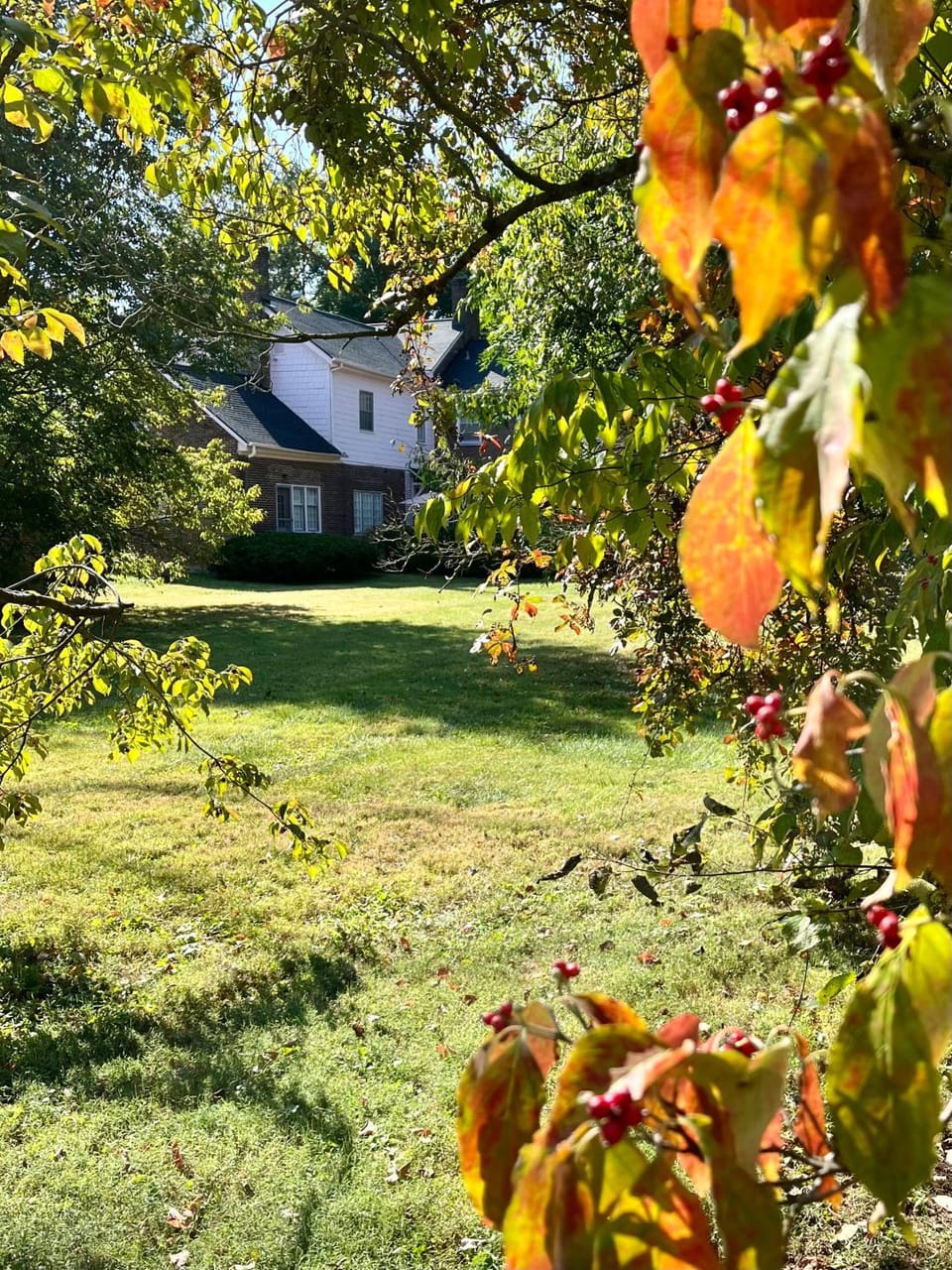 Charred Oaks Inn Bed and Breakfast in Versailles