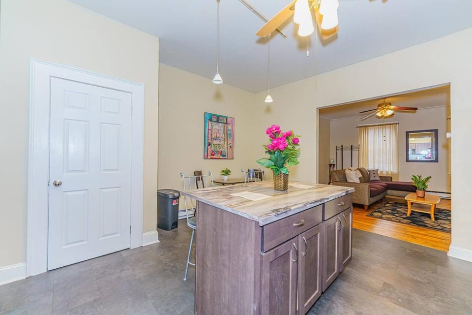 Fresh & Modernized 2BR Fl 1 Apt @ Downtown Albany Apartment in Albany