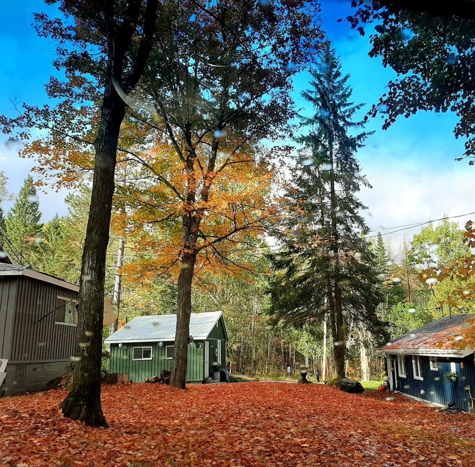 Birch Cabin-2 Min to Lakes-Snowmobile trails Cabin in Lake of Bays