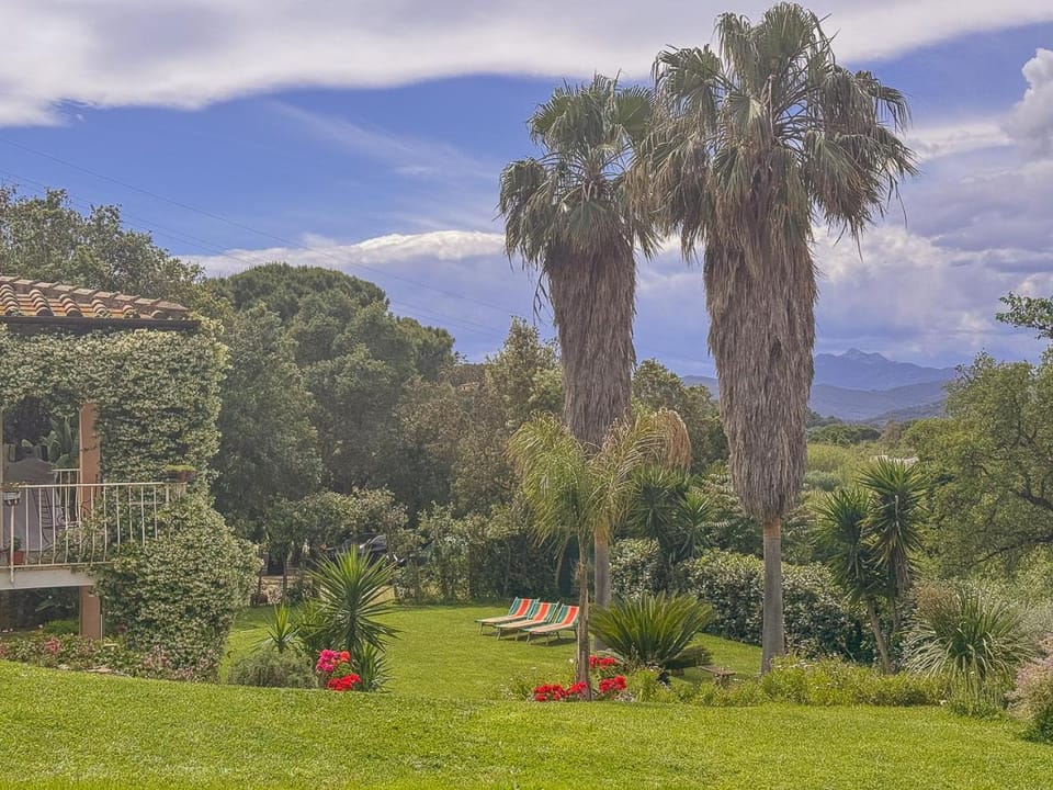 Suite with sea view and private woodland by Host Hero Apartment in Tuscany