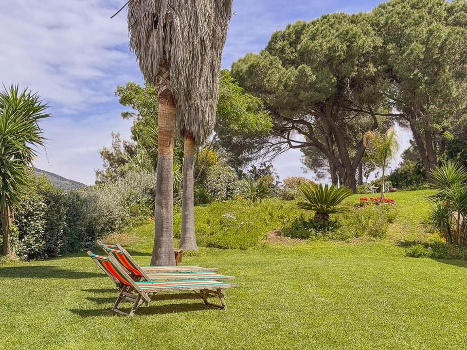 Suite with sea view and private woodland by Host Hero Apartment in Tuscany