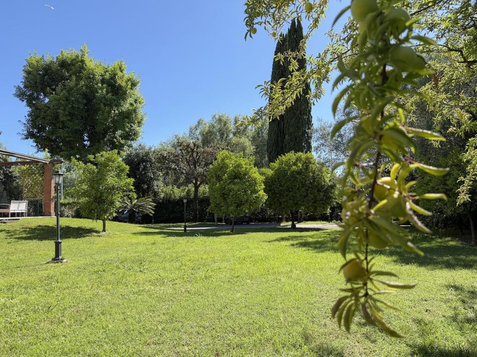 Villa degli Olmi Villa in Forte dei Marmi