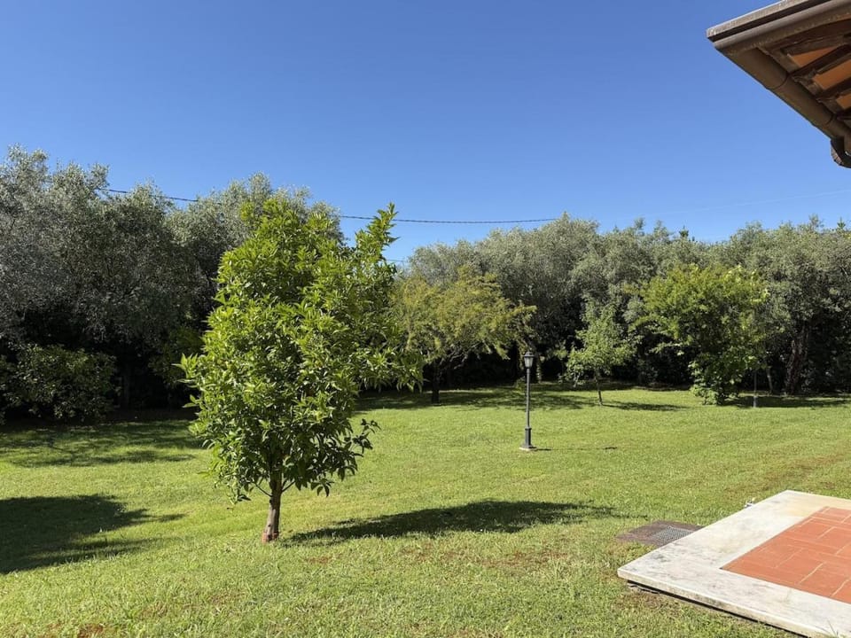 Villa degli Olmi Villa in Forte dei Marmi