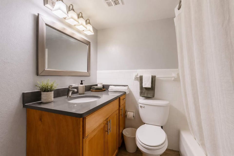 South Tampa Resort Retreat Pool Gym & Walkable Location Apartment in Tampa