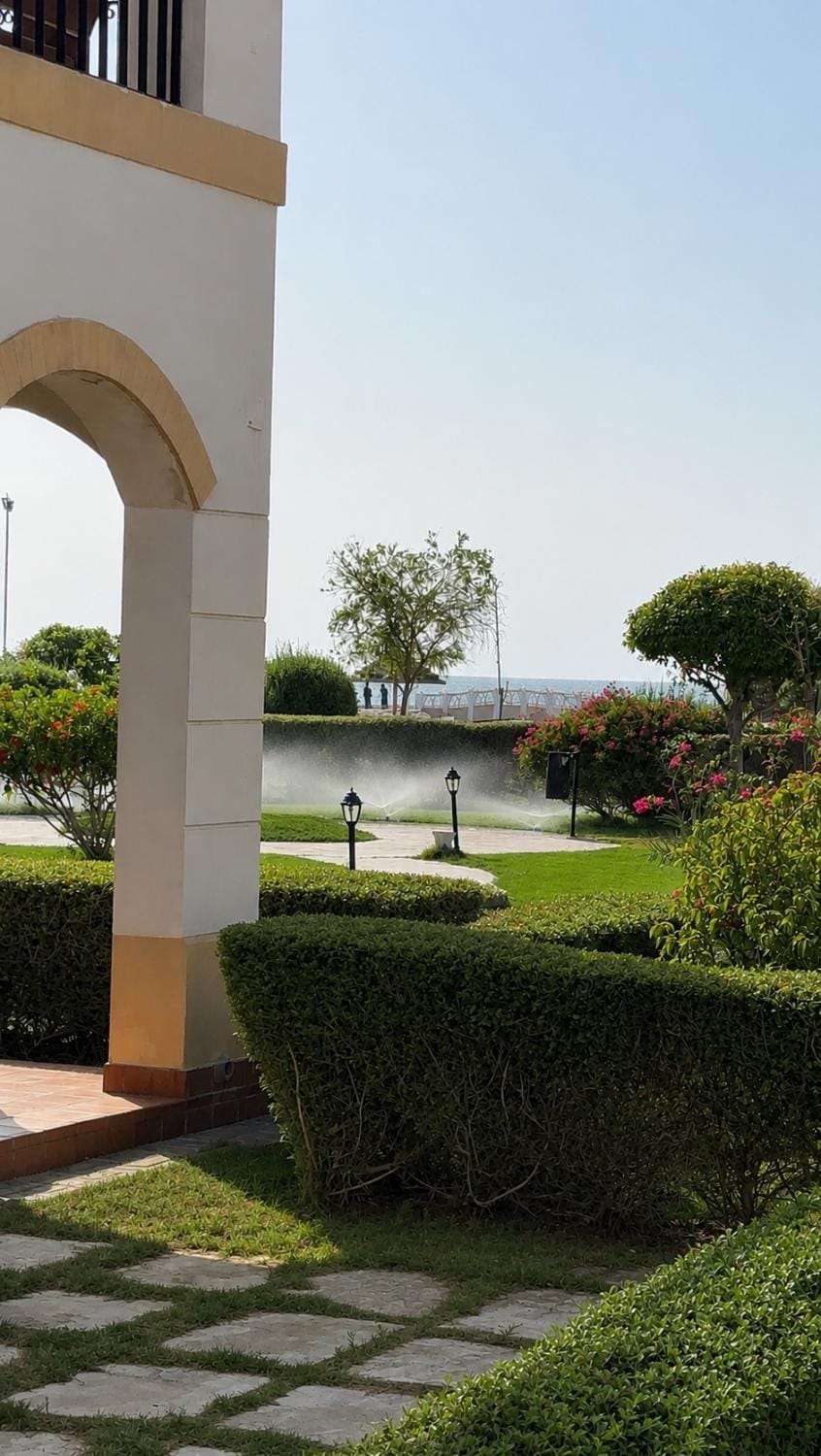 Spring, Day, Natural landscape, Garden view, Sea view
