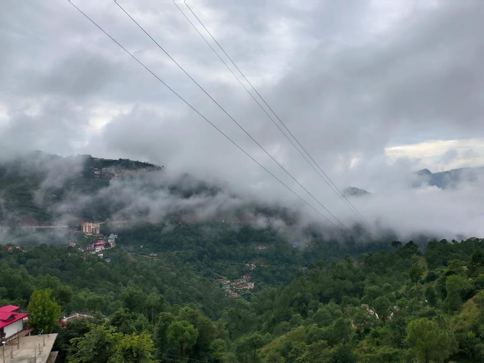 The pine Nest Bed and Breakfast in Himachal Pradesh
