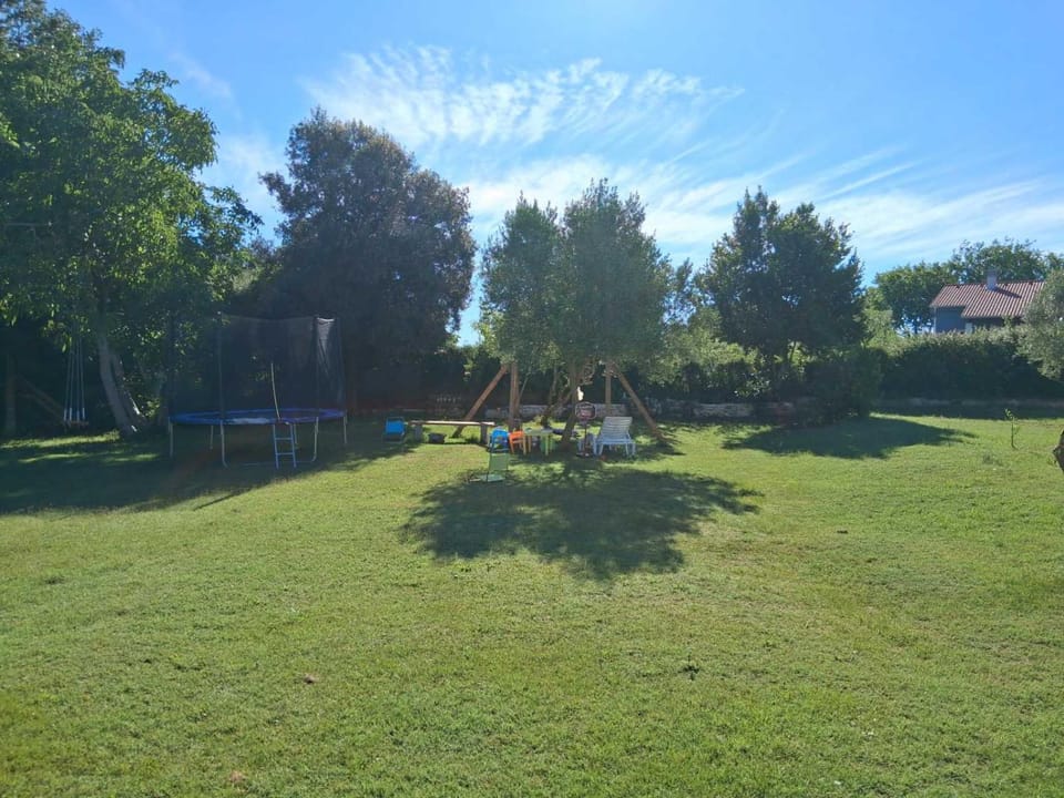 Garden, Garden view, Garden view