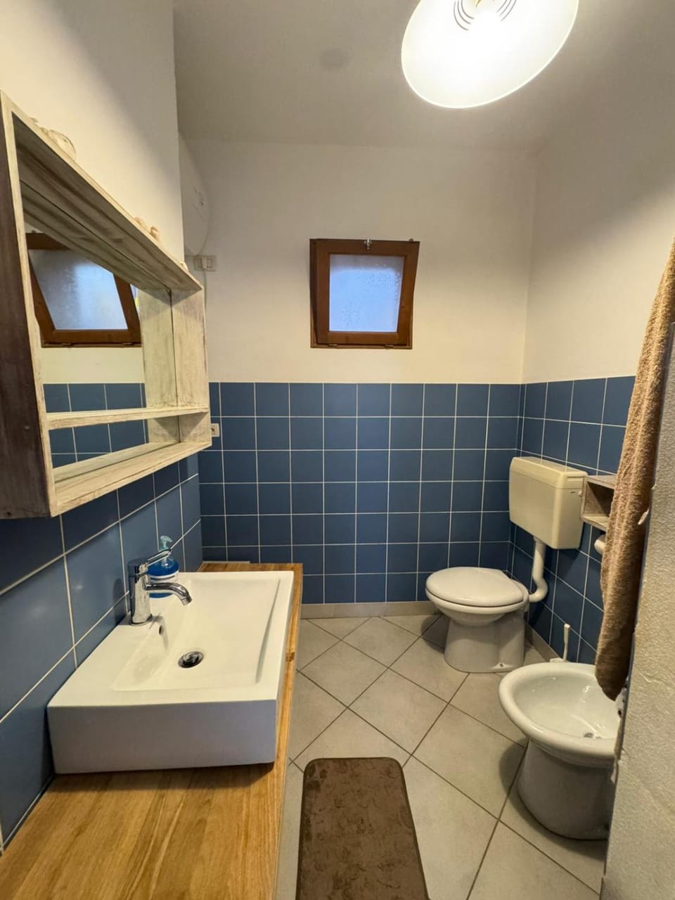 Shower, bidet