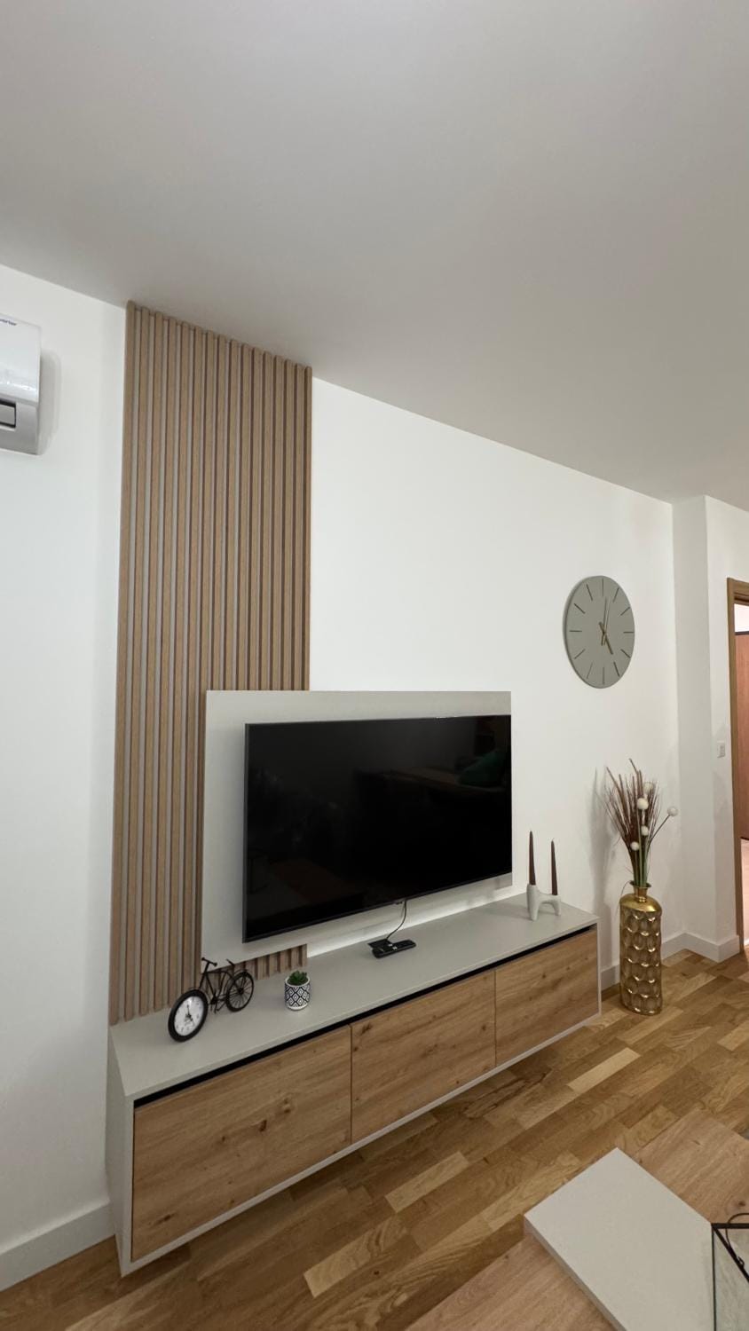 TV and multimedia