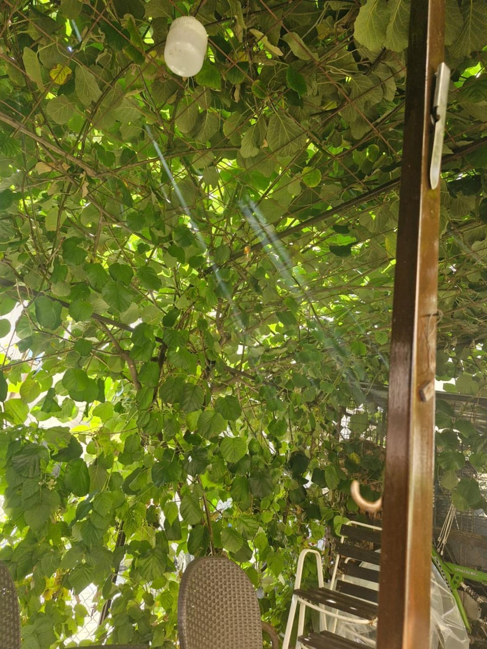Makedonium Bed and Breakfast in Municipality of Ohrid, North Macedonia