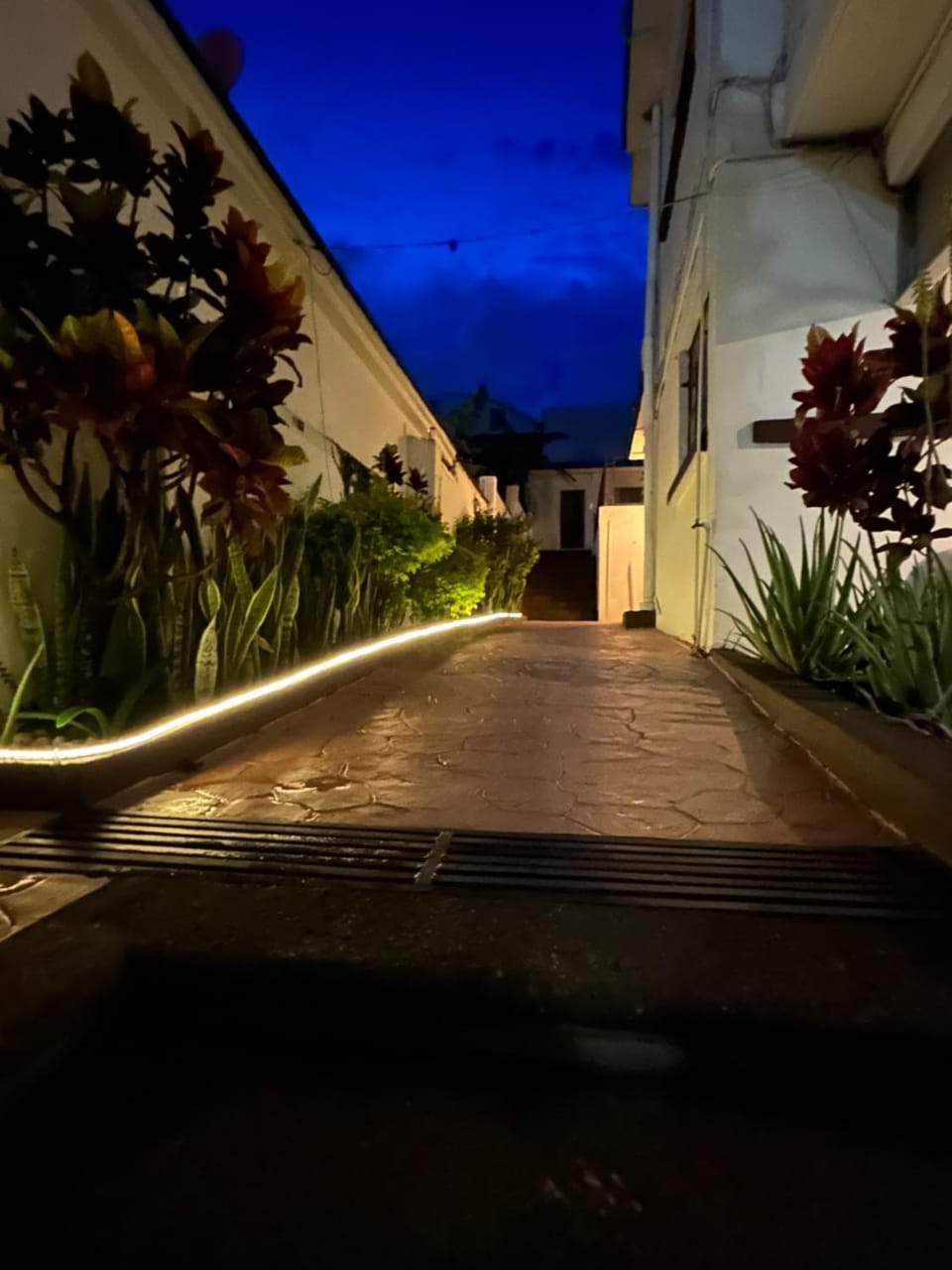 Night, Garden, Garden view
