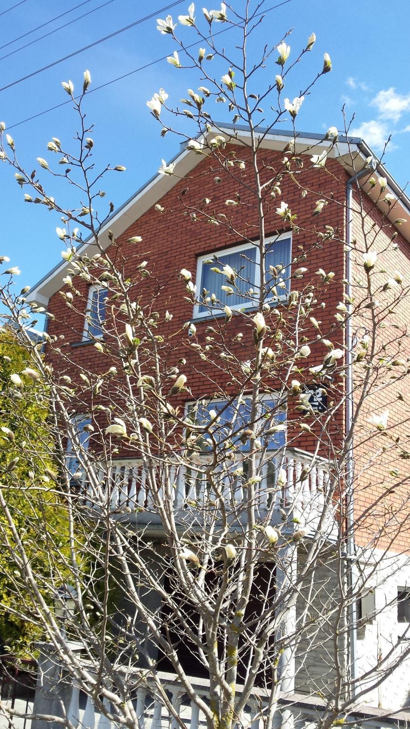 Property building, Spring