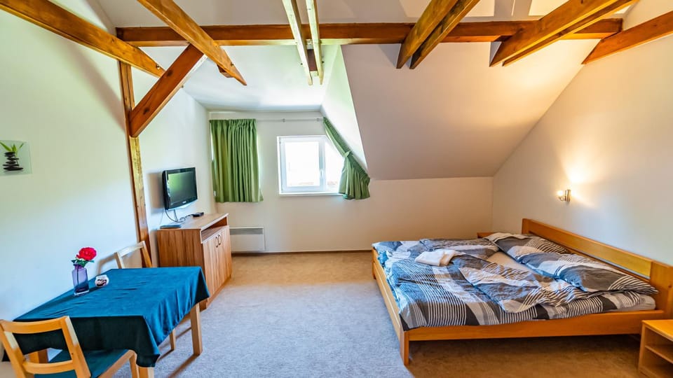 Penzion Adria III Bed and Breakfast in South Bohemian Region