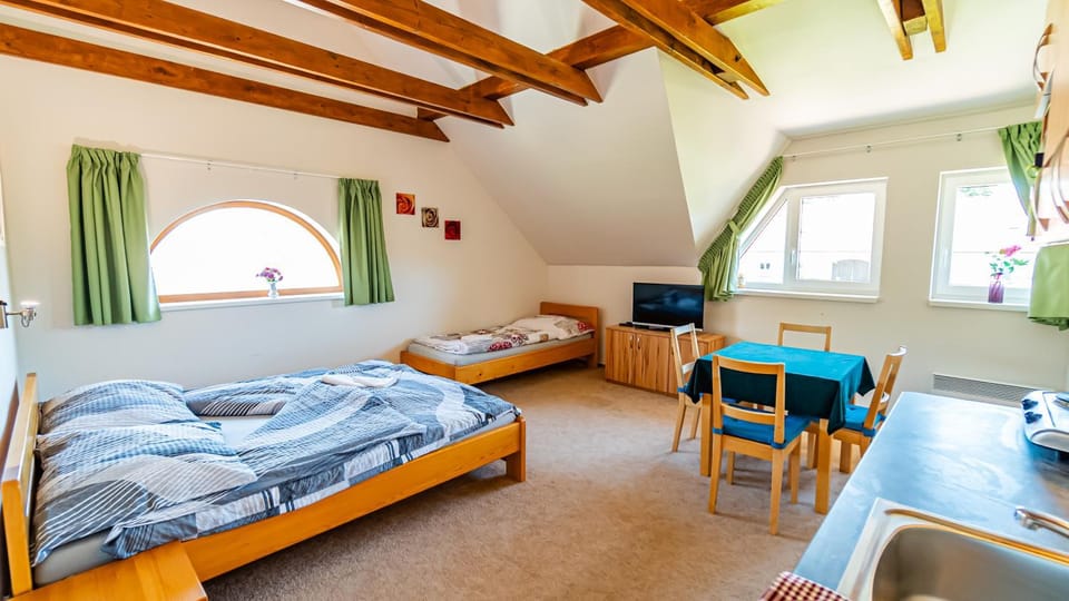 Penzion Adria III Bed and Breakfast in South Bohemian Region