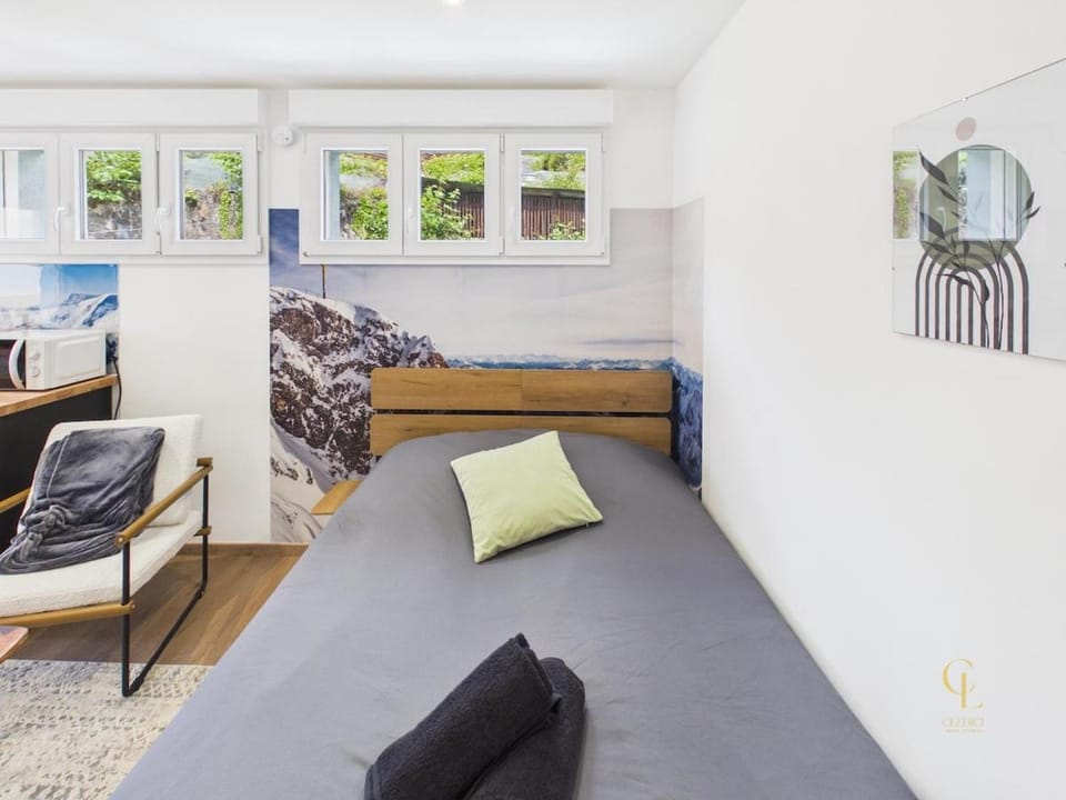Snowflake Home La Bresse Studio Terrace Parking Apartment in La Bresse