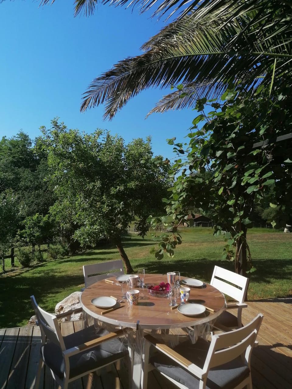 Patio, Garden, Dining area, Garden view