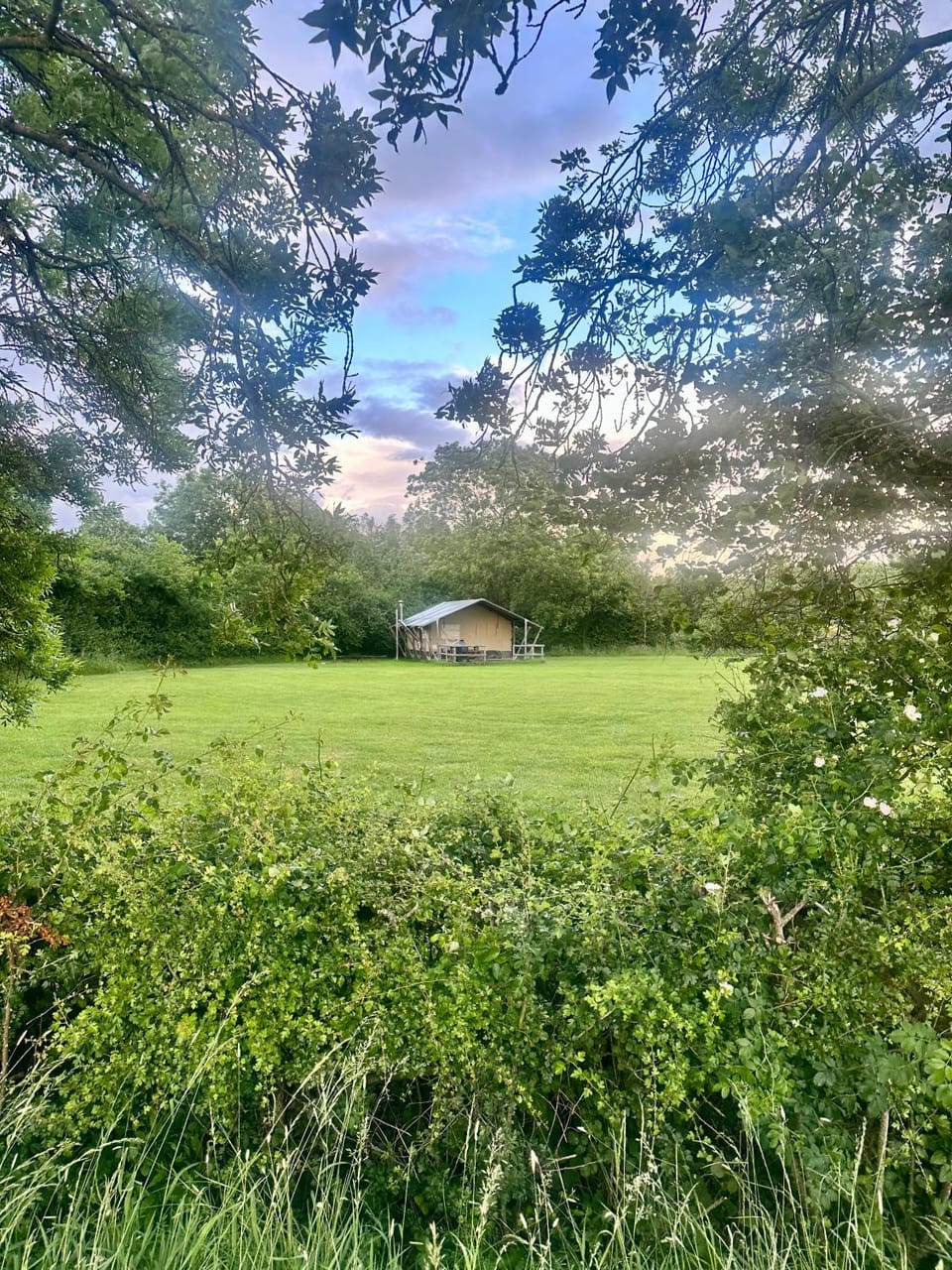 The Firs Glamping Luxury tent in Malvern Hills District