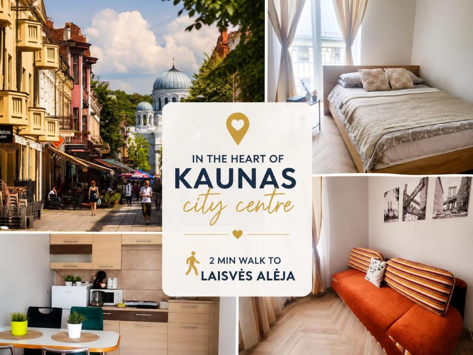 Comfortable Entire 2 Room City Centre Apartment Parking Apartment in Lithuania