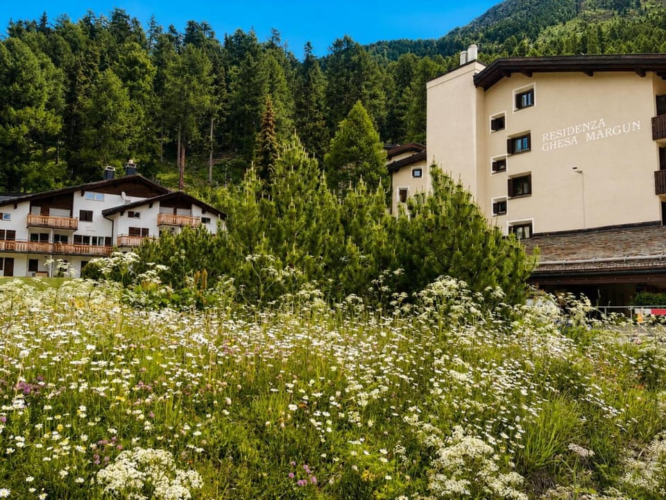 Property building, Natural landscape, Summer, Mountain view