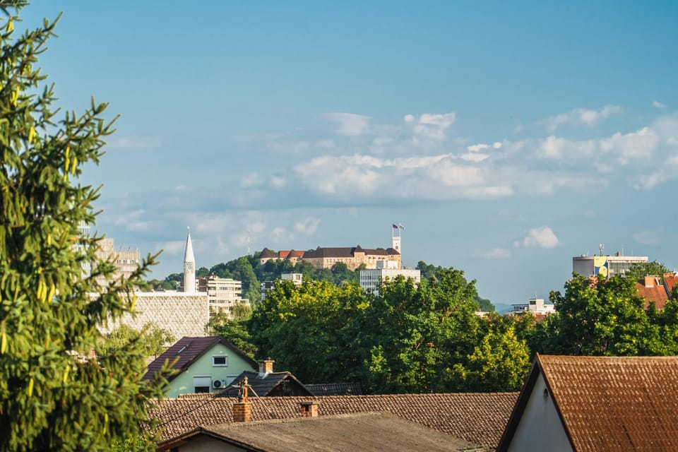 View (from property/room)