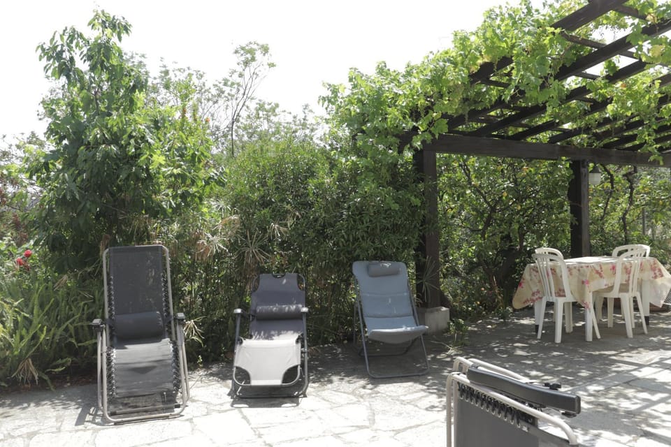 Garden, Garden view, sunbed