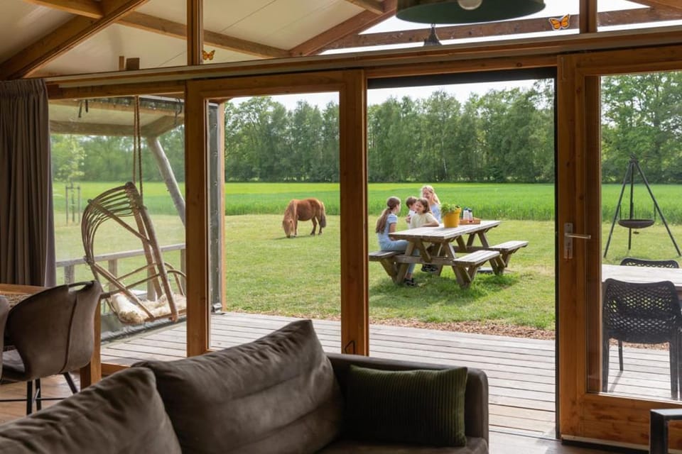 Natural landscape, Garden, Living room, Seating area, Garden view