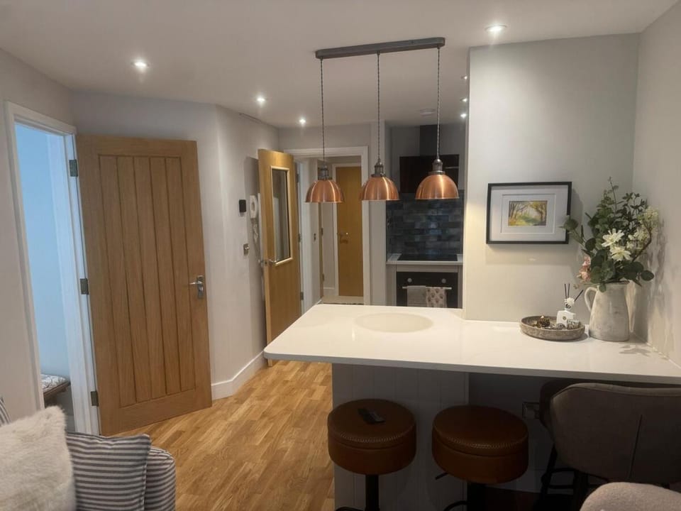 Petite Victorian Gem Free Parking Oxford City Centre Apartment in Oxford