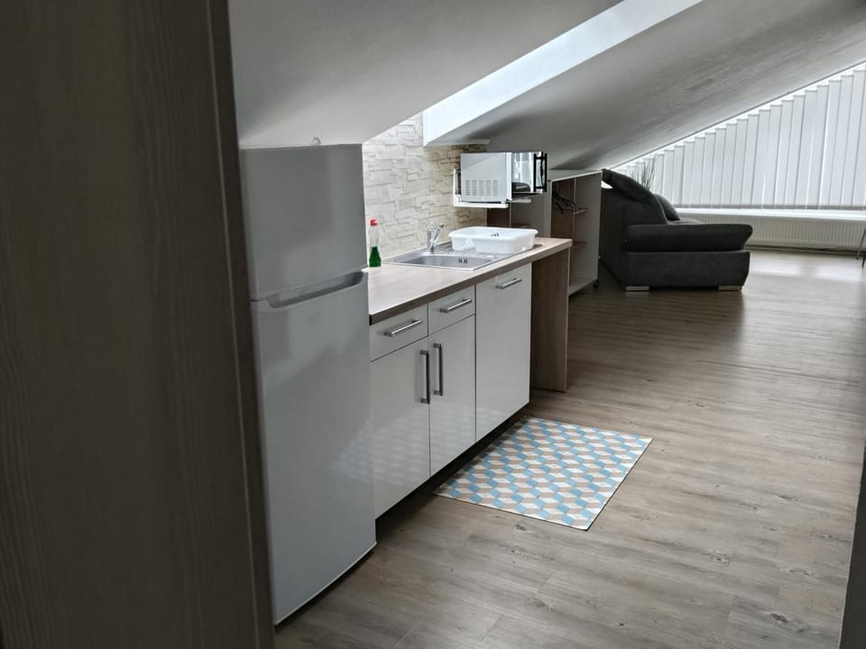 Kitchen or kitchenette, kitchen