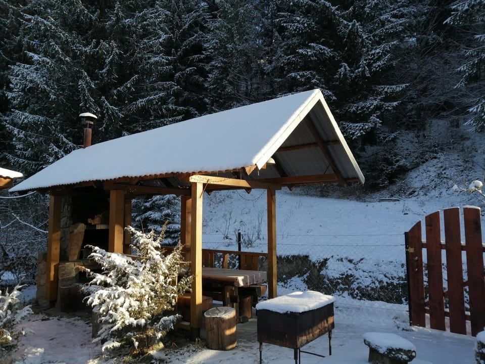 Natural landscape, Winter, On site