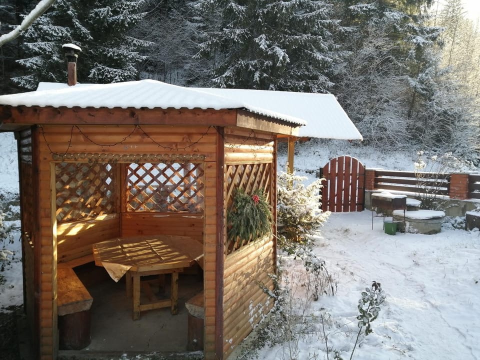 Winter