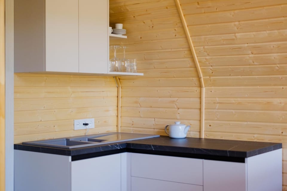 Kitchen or kitchenette, kitchen