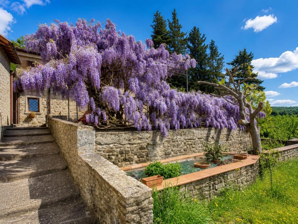 Spring, Garden, Garden view