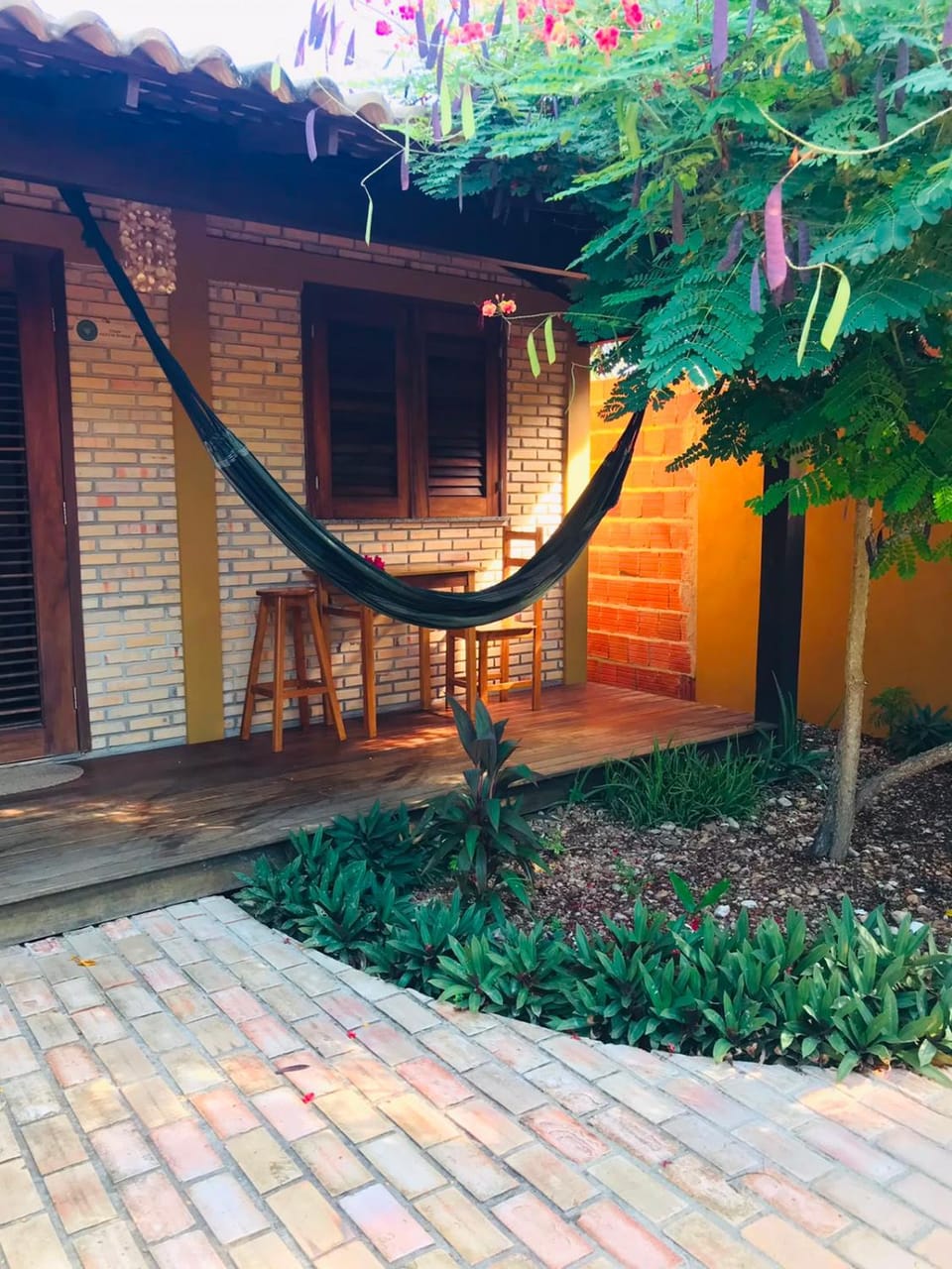 Garden view