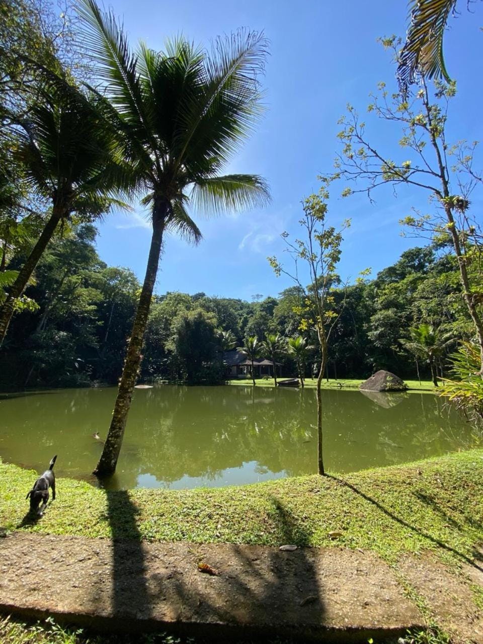 Pousada Sitio Anawin Nature lodge in Mangaratiba