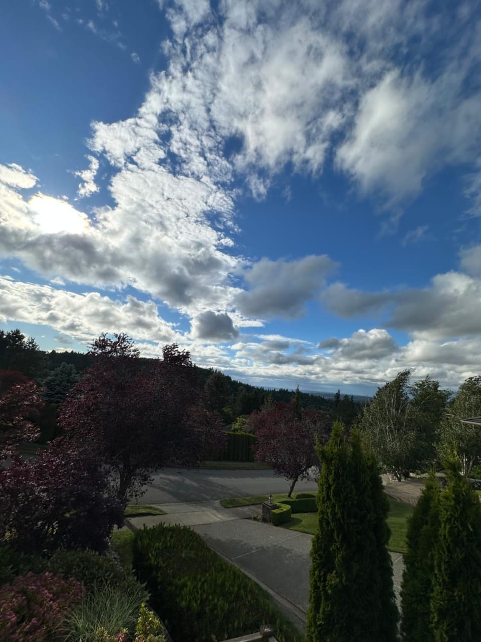 Natural landscape